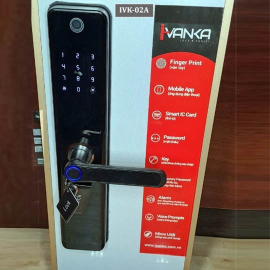 IVK-02A