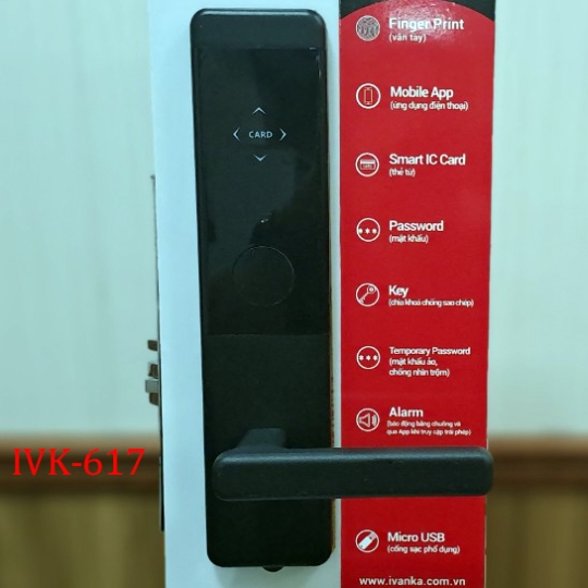 IVK-617